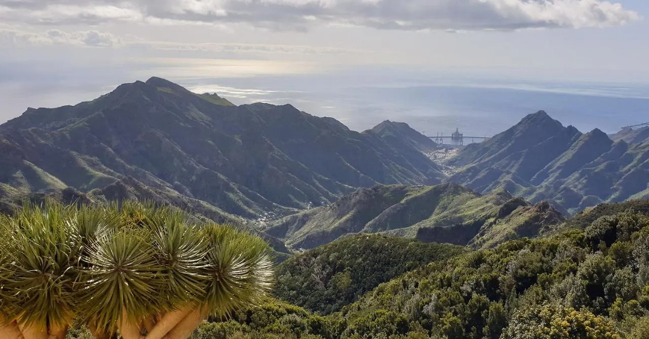Lägenhet Santa Cruz De Tenerife Toscal