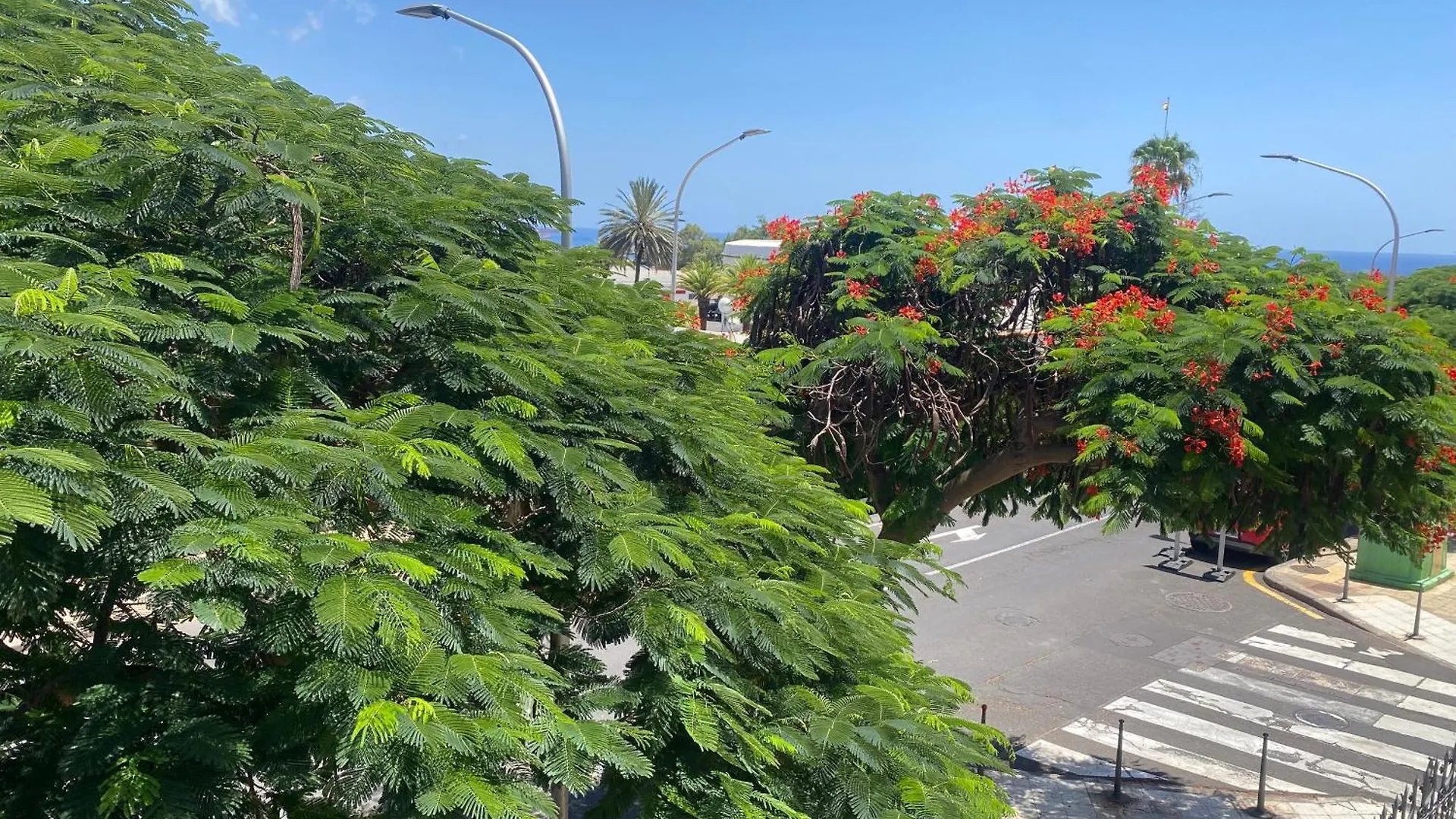 Apartment Santa Cruz De Tenerife Toscal Spain